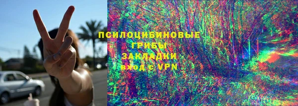 молекула духа Няндома