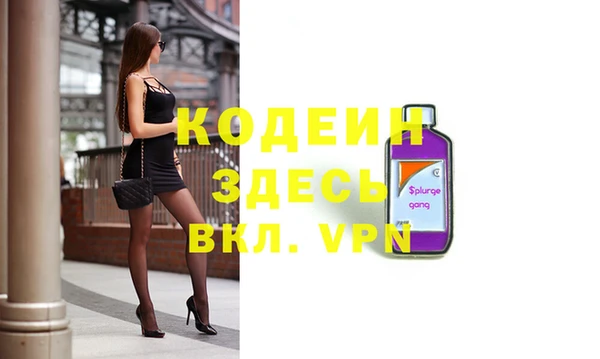 молекула духа Няндома