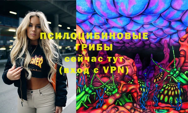 молекула духа Няндома