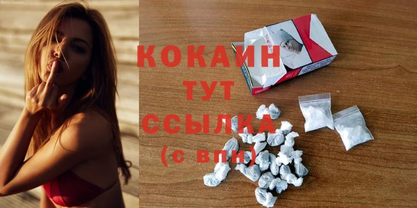 молекула духа Няндома