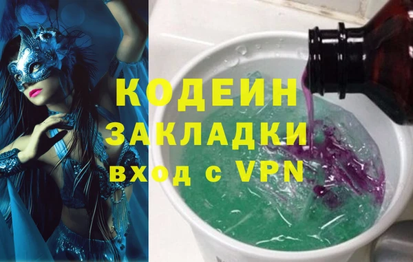 молекула духа Няндома