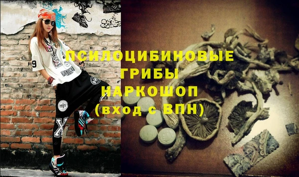 молекула духа Няндома