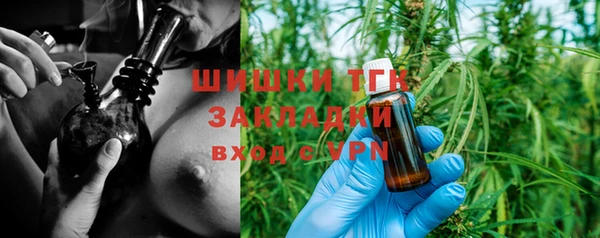 молекула духа Няндома