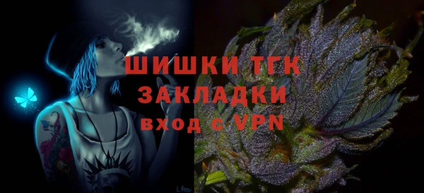 молекула духа Няндома