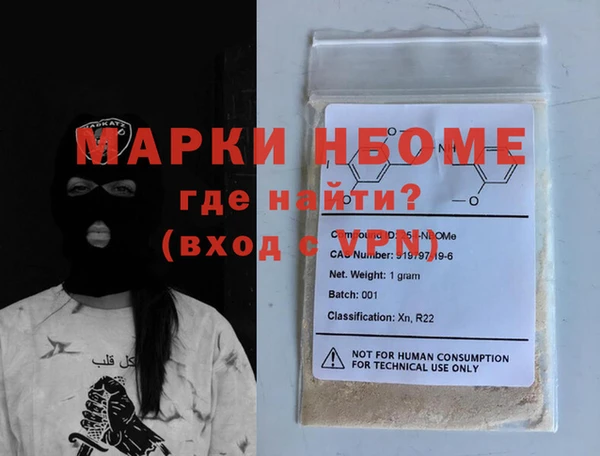молекула духа Няндома
