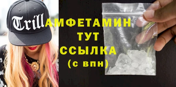 молекула духа Няндома